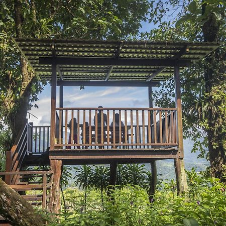 "Hana'S Celeste Retreat" Large Modern Villa Sleeps 6 On 20 Acres Of Nature! Bijagua Exterior photo